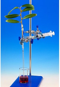 Simple Potometer - Pack of 5