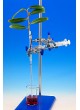 Simple Potometer - Pack of 5 Simple Potometer - Pack of 5